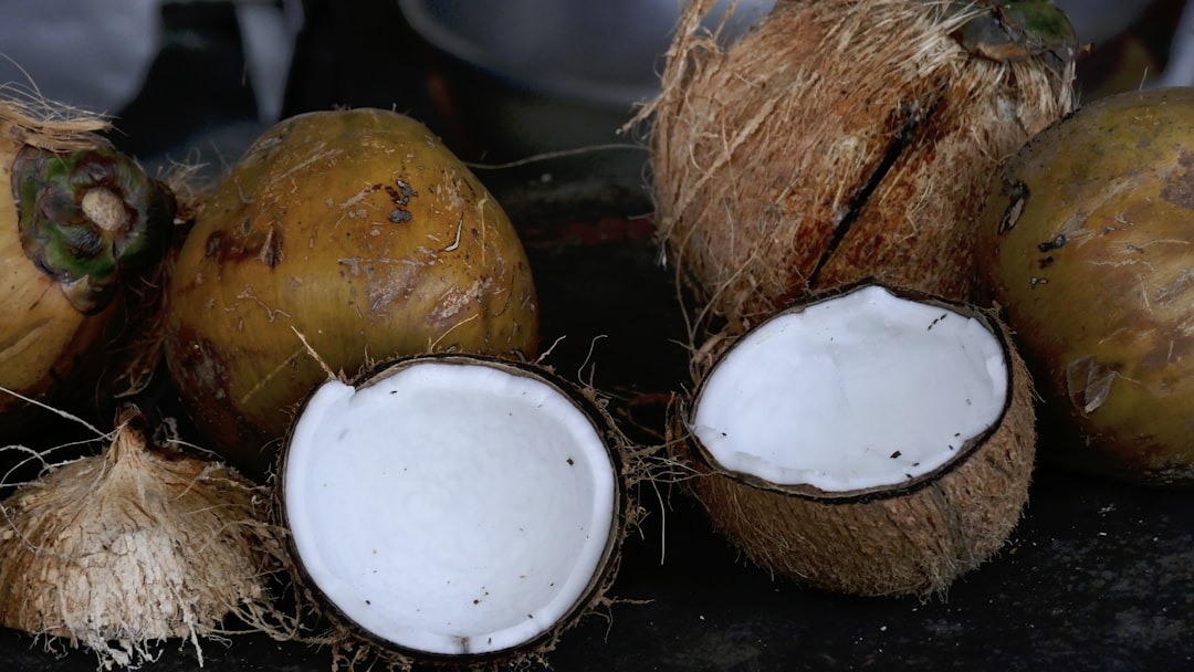 Coco: O ingrediente que transforma receitas comuns em irresistíveis